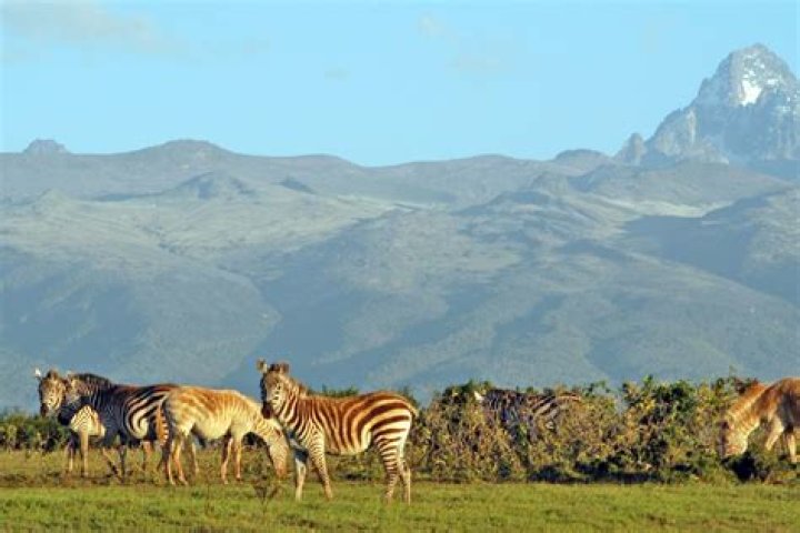 Famous People From Kenya