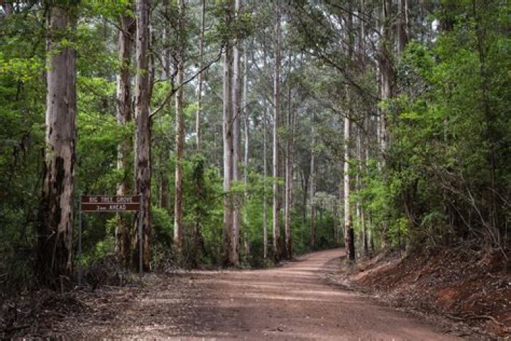 Maureen (Babitz) Shannon – San Francisco, CA