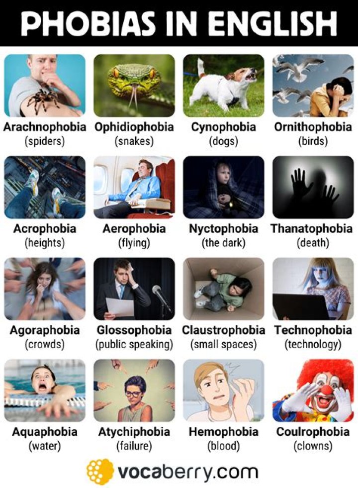 Meaning, Types & List of Phobias