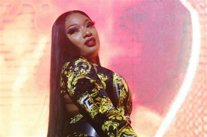 Megan Thee Stallion Is Reportedly Suing Her Record Label - TruthLens