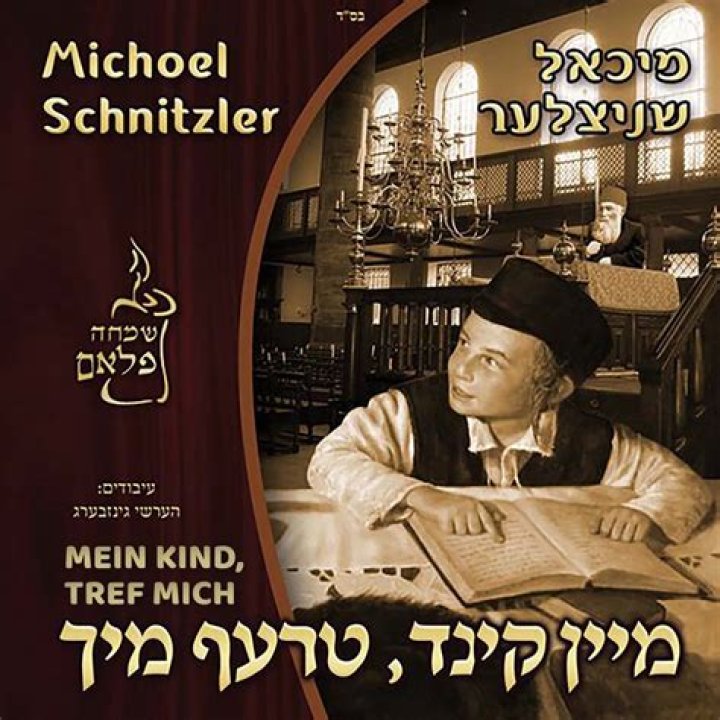 Michoel Schnitzler Cause of Death, Age, Wife, Obituary | Jewish Singer