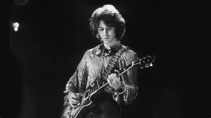 Mick Taylor Biography - Childhood, Life Achievements & Timeline