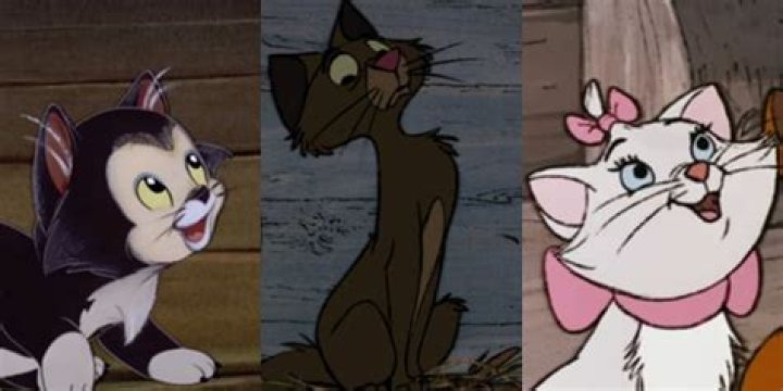 Missing Thackery Binx? Here’s 10 more of the best talking cats from movies and TV