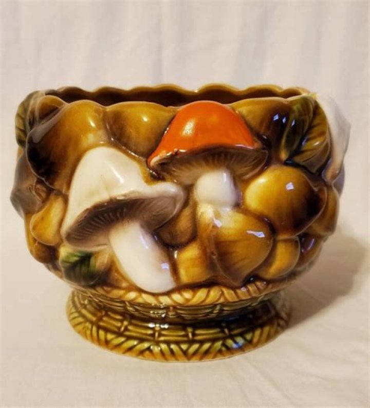 
Mushroom Collector, Lois Chartrand, dies at 74 