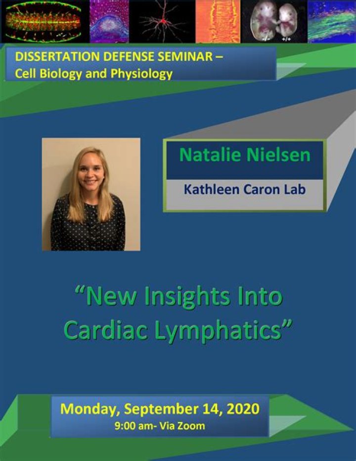 Dr. Natalie Nielsen, MD – Falmouth, MA