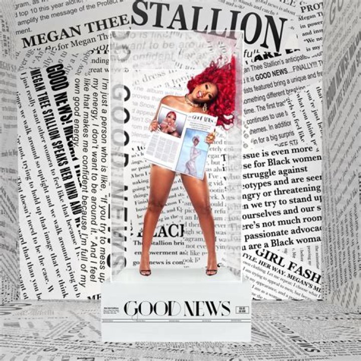 Megan Thee Stallion in Cutout Gown Celebrates New Song "SG" — Celebwell