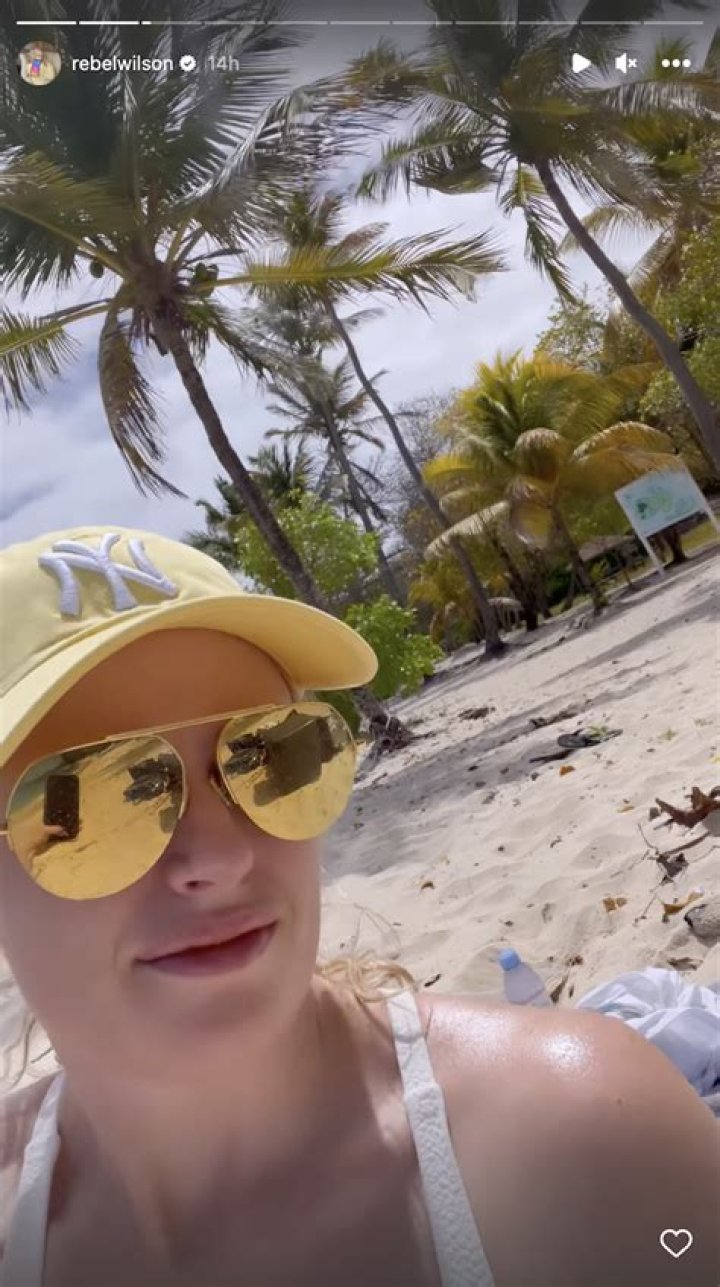Rebel Wilson in Bathing Suit Shares a Beach Selfie Looking Fit — Celebwell