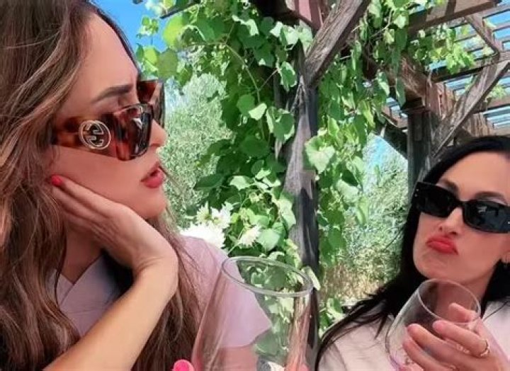 Nikki & Brie Bella Share Jaw-Dropping Photos From Their Nude Pregnancy Photo Shoot