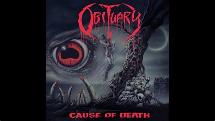 Obituary | Megan Amme Cause of Death