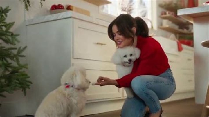PetSmart Commercial Actress 2023: Lucy Hale