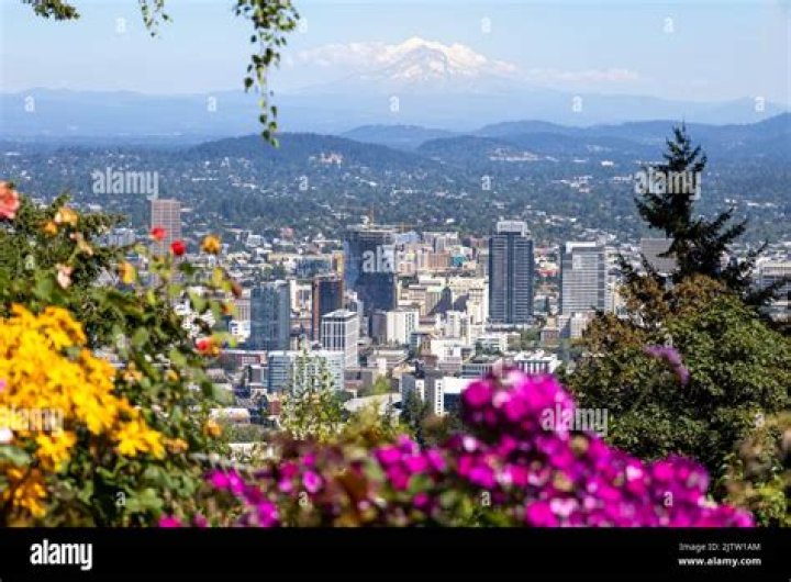 Directory of Physicians (MD/DO) in Portland, Maine