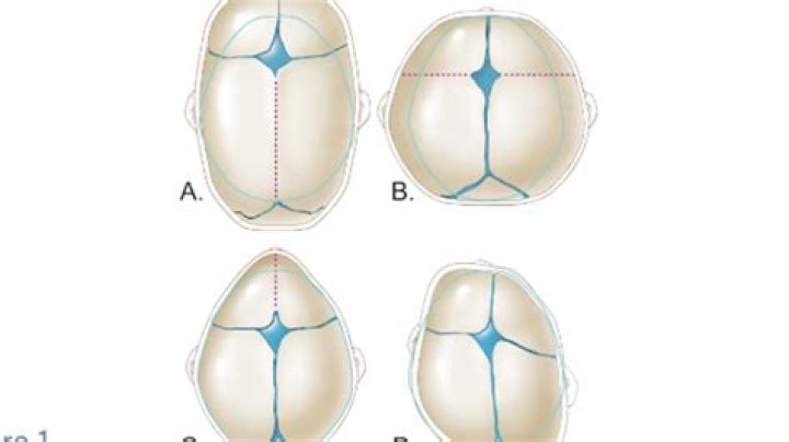 Dr. Ramin Eskandari, MD – Charleston, SC