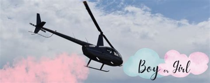 Ray J And Princess Love Have Epic Helicopter Gender Reveal For Their Second Baby – Check It Out!