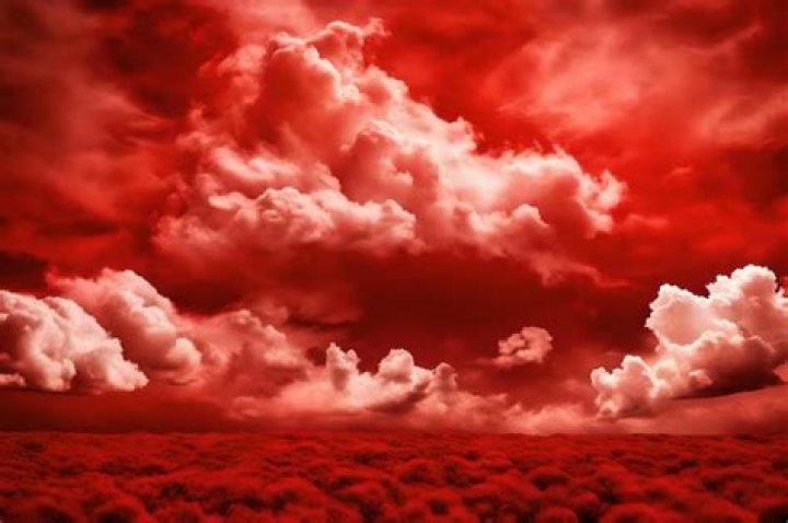 Red Cloud Biography - Facts, Childhood, Family Life & Achievements