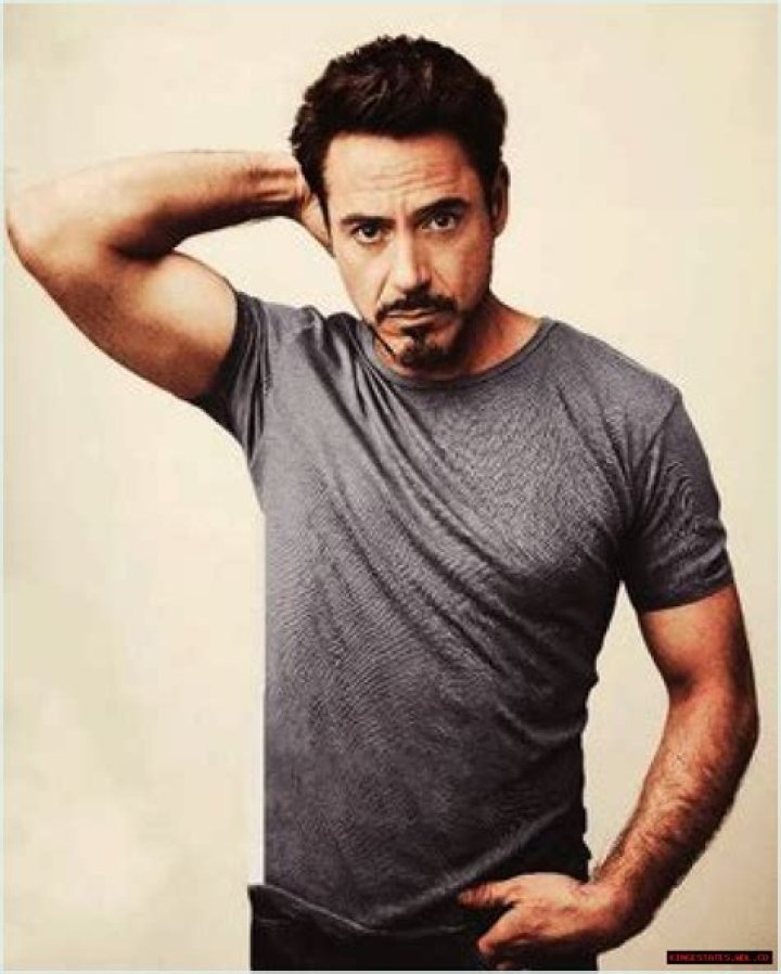 Robert Downey Jr Favorite Color Food Things Sports Hobbies Biography