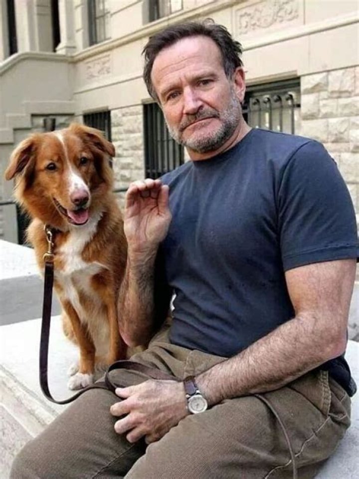 Robin Williams Biography - Facts, Childhood, Family Life & Achievements