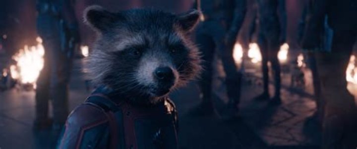 An Emotional Journey Awaits Rocket Raccoon In Guardians Of The Galaxy Vol. 2, According To Sean Gunn