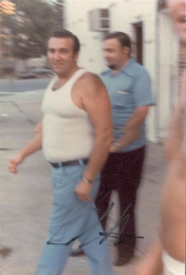 Roy DeMeo Biography - Facts, Childhood, Family Life & Achievements