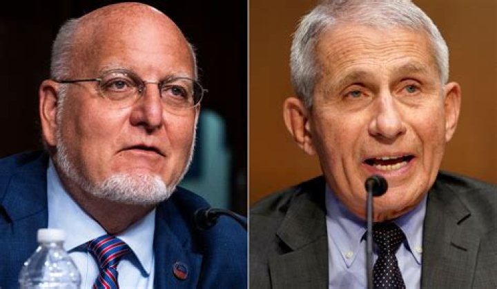 Russell Brand takes Anthony Fauci to task over lab theory