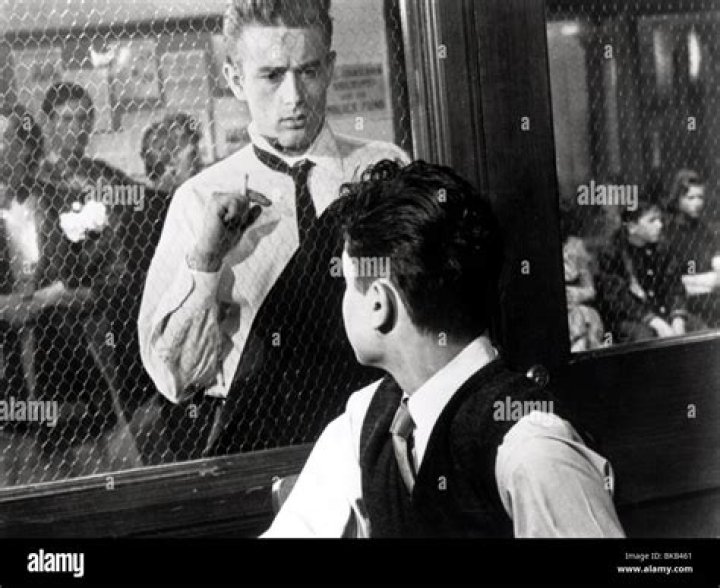 Sal Mineo Biography - Facts, Childhood, Family Life & Achievements