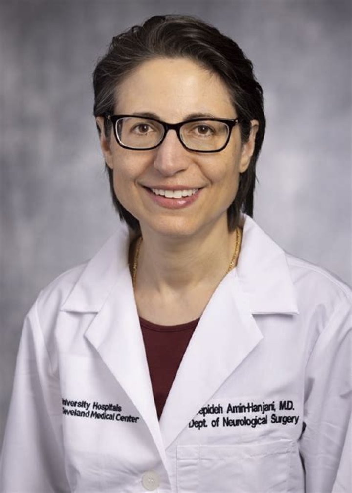 Dr. Sepideh Amin-Hanjani, MD – Chicago, IL
