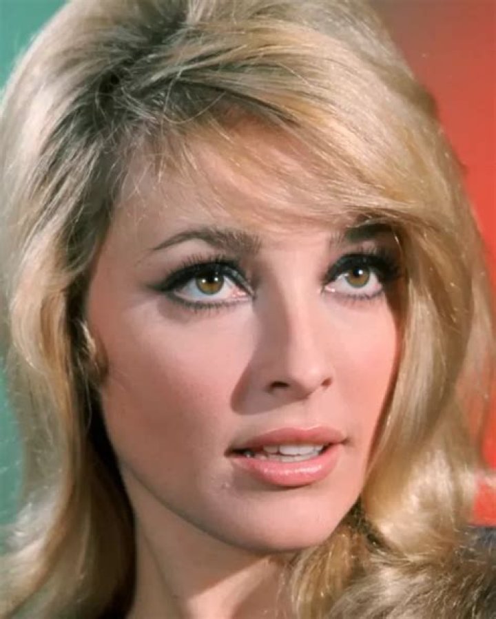 
Sharon Tate Height, Weight, Net Worth, Age, Birthday, Wikipedia, Who, Nationality, Biography 