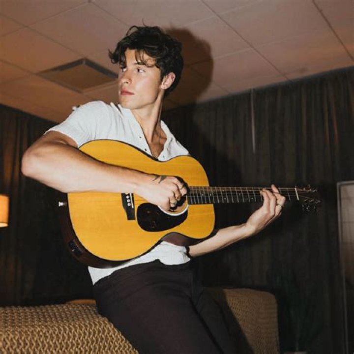 Shawn Mendes (Singer) Wiki, Biography, Age, Height, Weight, Girlfriend, Family, Career, Net Worth