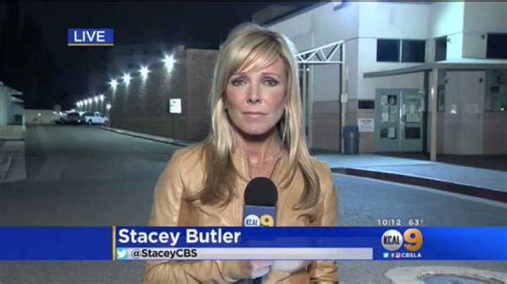 
Stacey Butler (CBS reporter) Wiki Biography, age, salary. Is she married? 