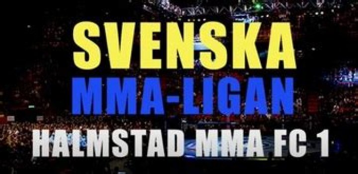 Famous Swedish Mixed Martial Artists