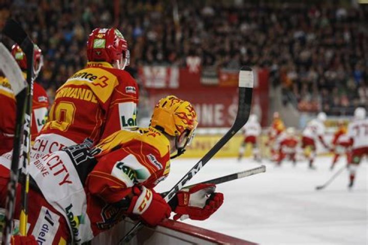 Famous Swiss Ice Hockey Players