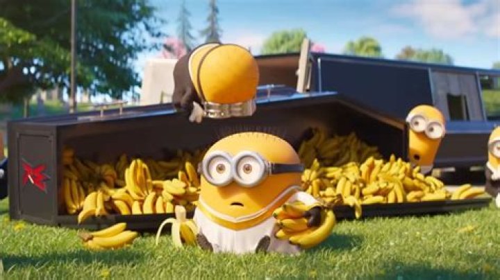 The 7 best Minions in the ‘Despicable Me’ franchise