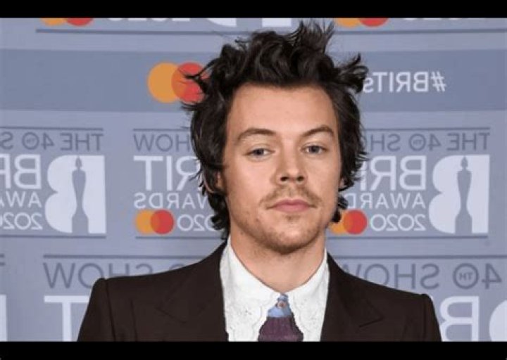 ‘This is my personal experience’: Harry Styles explained why he does not want to talk about his orientation