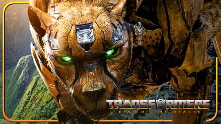 ‘Transformers: Rise of the Beasts’ star had to learn how to drive after being cast