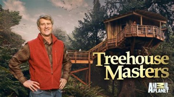 Was Treehouse Masters Cancelled? – Celebrity