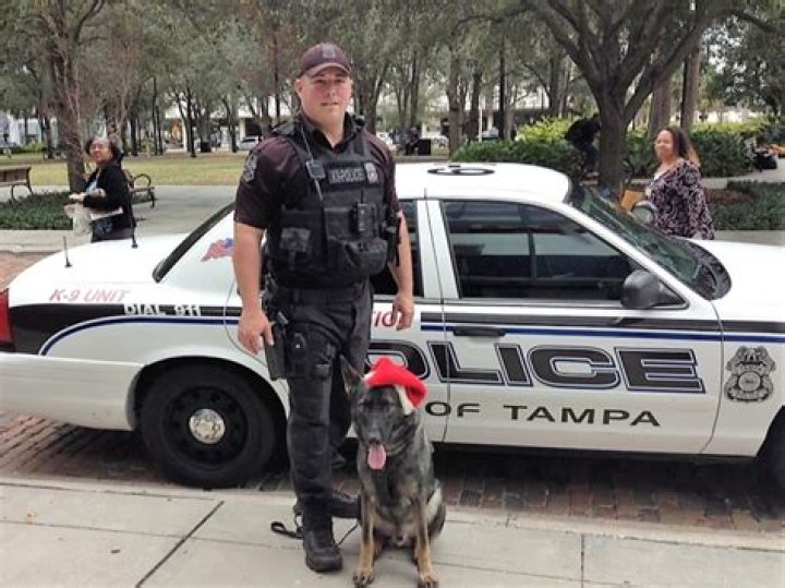 Watch video : Who is Gregory Damon? Tampa Police officer loses job after dragging woman into jail