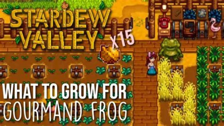What Does The Frog Want Me To Grow In Stardew? – Celebrity