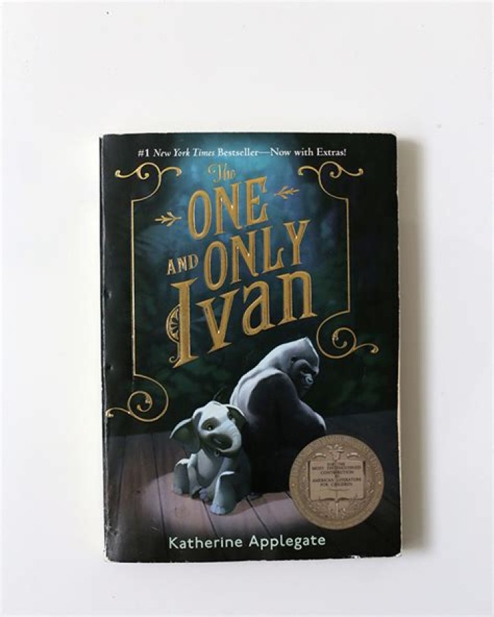 What happened to Mack in the One and Only Ivan? – Celebrity