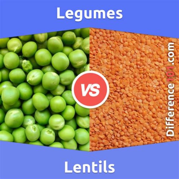 What is the Difference Between Legumes and Lentils