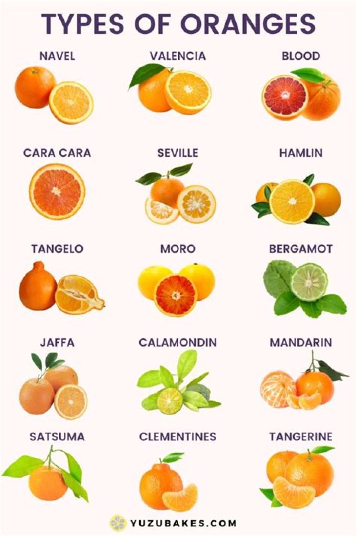 What Is The Sister Fruit To Oranges? – Celebrity
