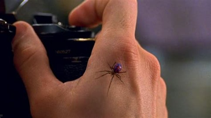 What kind of spider bit Peter Parker, and where can it be found?