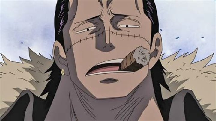 What ship from Chapter 212 was Crocodile referring to in ‘One Piece’ 1100?