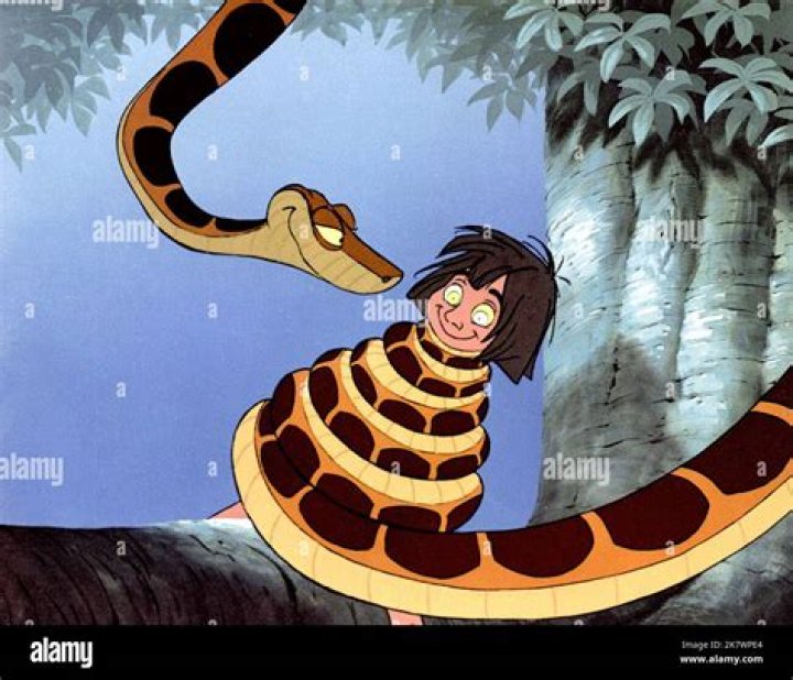 What’s the snake’s name in The Jungle Book? – Celebrity