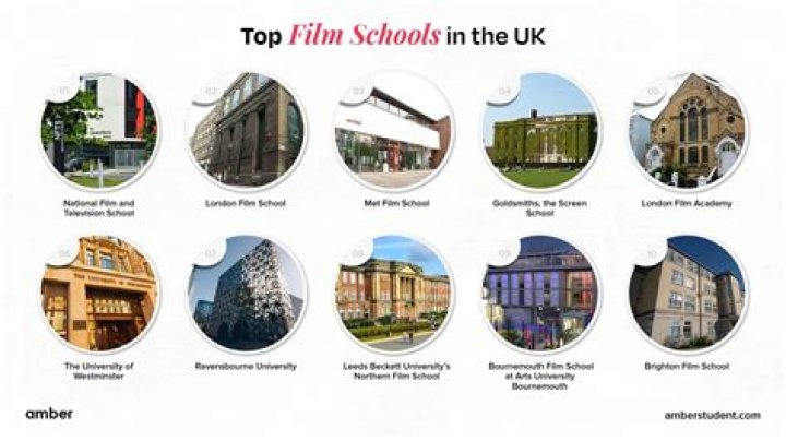 Where did Nigel Gibbs go to college and high school? Did Nigel Gibbs go to film school?