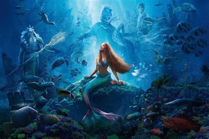 Where does Ariel live under the sea? – Celebrity
