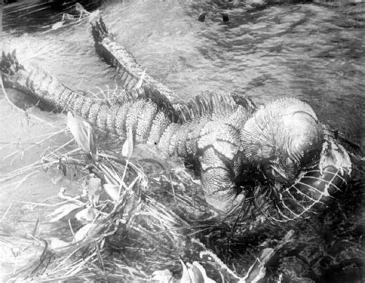 Where will be Ricou Browning buried? Burial site and Find a Grave details