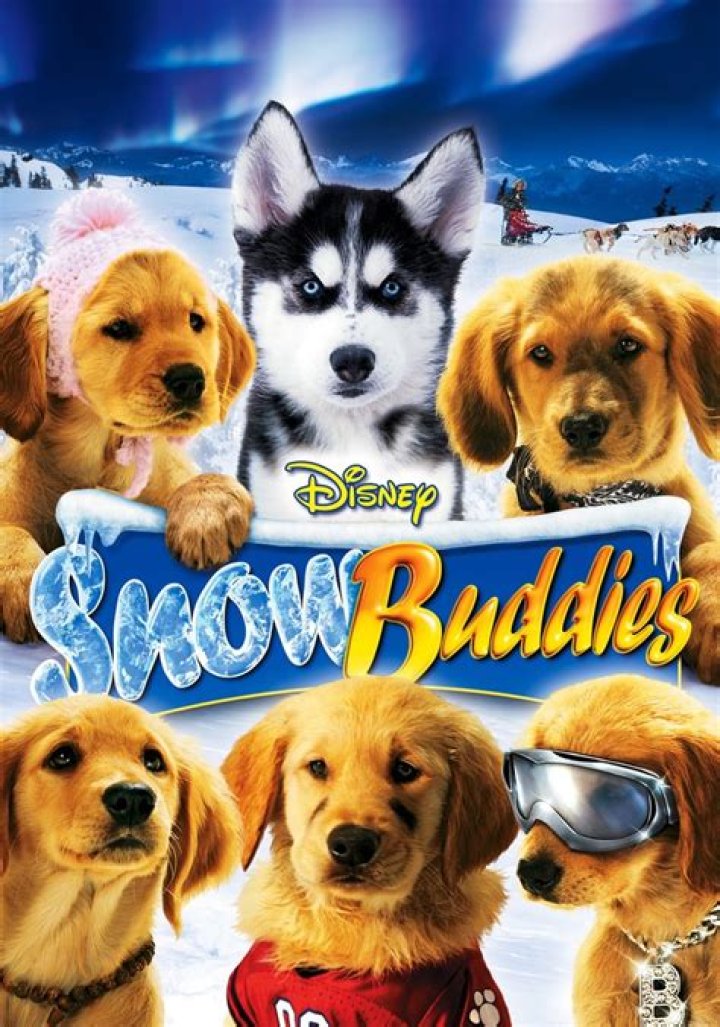 Which puppies died in Snow Buddies? – Celebrity