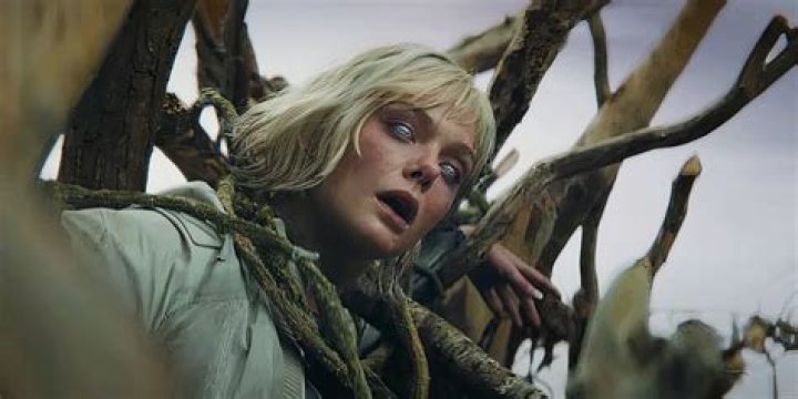 Who Is David Bertucci? Details To Know About The Actor From BloodLands