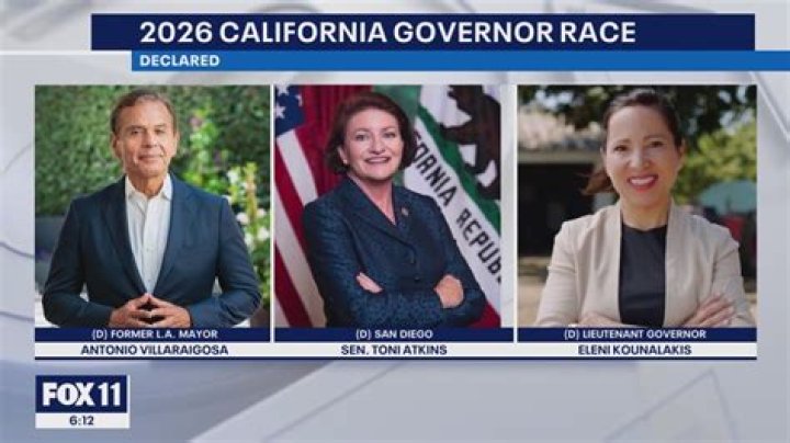 Who Is David Lozano? Details We Know About The Politician Running For Governor In California