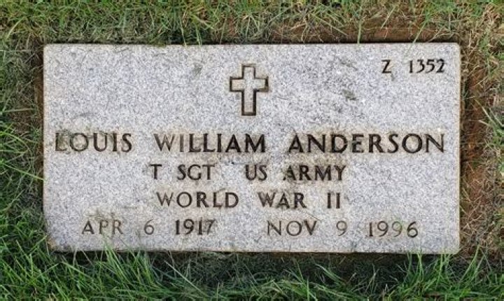 Who Is Louis William Anderson? Everything To Know About Louie Anderson Father