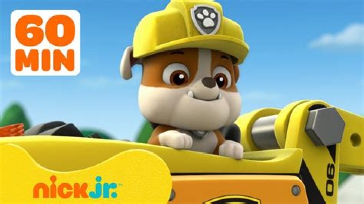 Who Is The Youngest Pup In Paw Patrol? – Celebrity